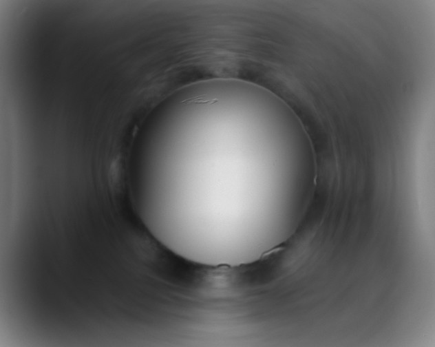 X0000089860088200707121744