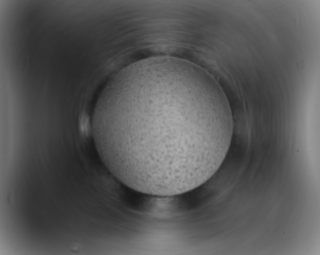 X0000089860089200707121744