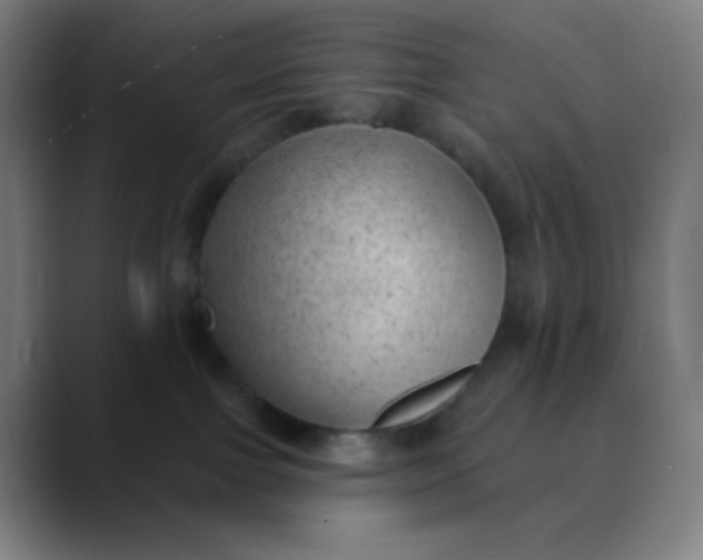 X0000089860091200707121744