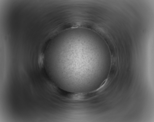 X0000089860094200707121744