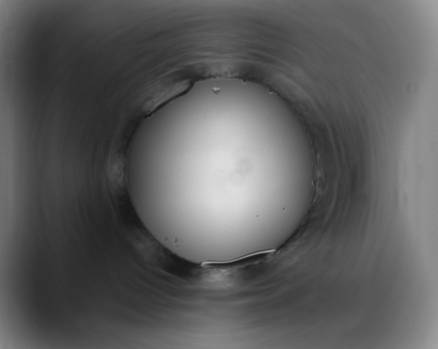 X0000089860096200707121744