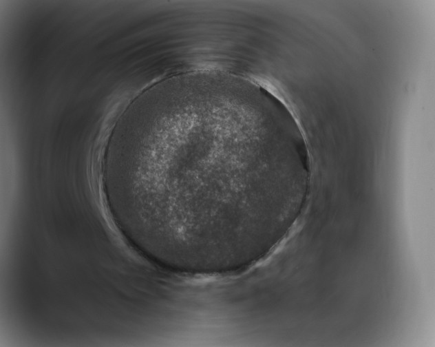 X0000089860097200707121743