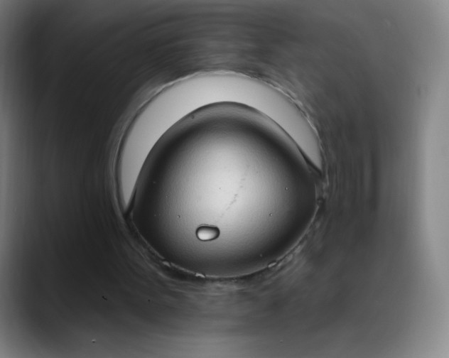 X0000089860099200707121743