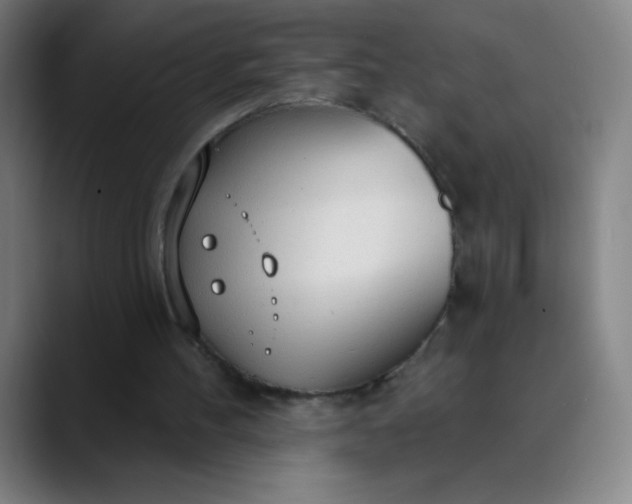 X0000089860100200707121743