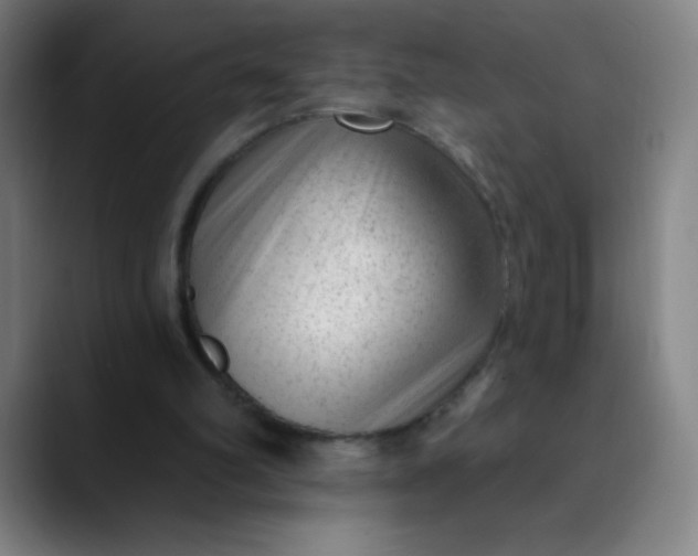 X0000089860102200707121743