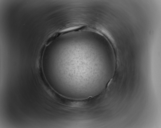 X0000089860105200707121743