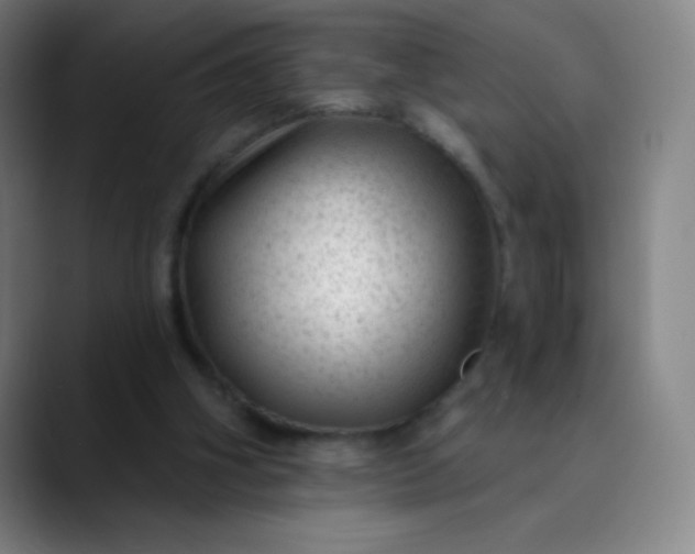 X0000089860106200707121743