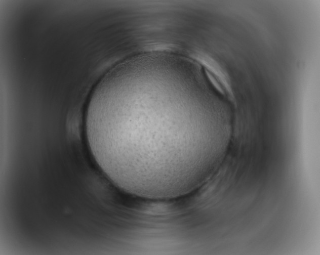 X0000089860107200707121743