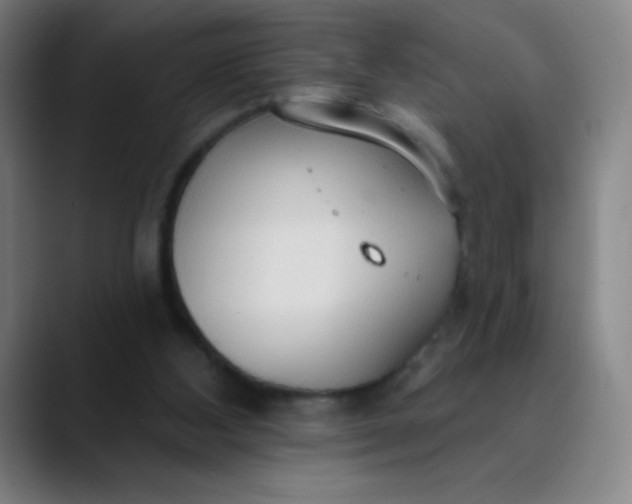 X0000089860108200707121743