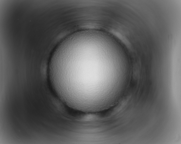 X0000089860111200707121743