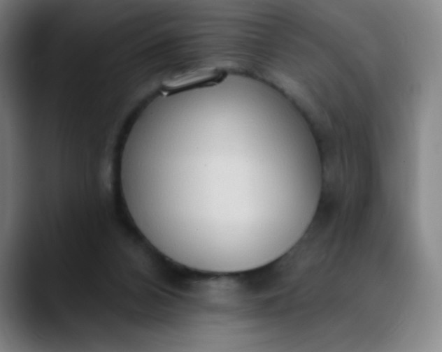 X0000089860112200707121743