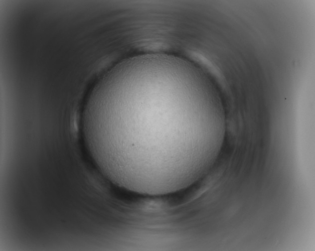 X0000089860115200707121743