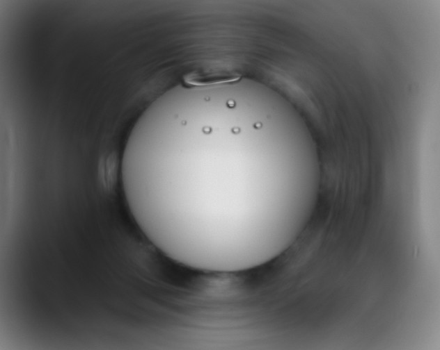 X0000089860118200707121743