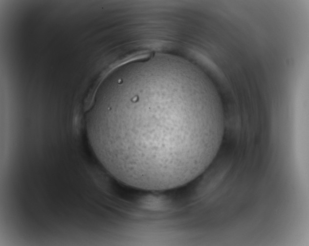 X0000089860119200707121743