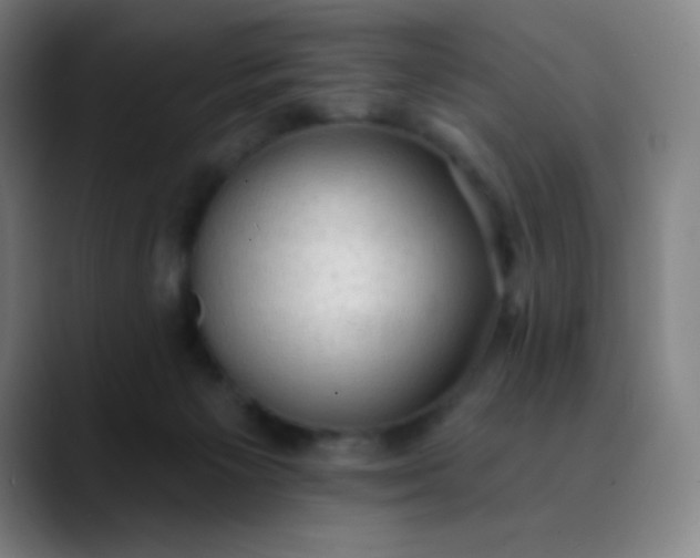 X0000089860125200707121743