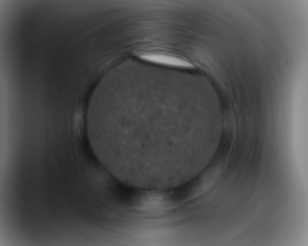 X0000089860127200707121743