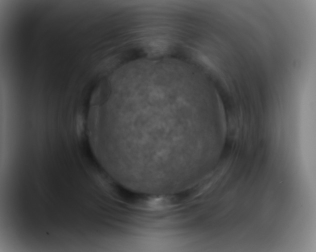 X0000089860130200707121743