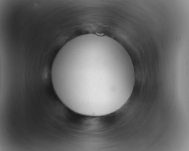 X0000089860132200707121743