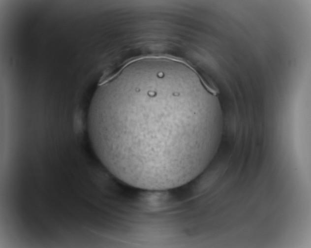 X0000089860135200707121743