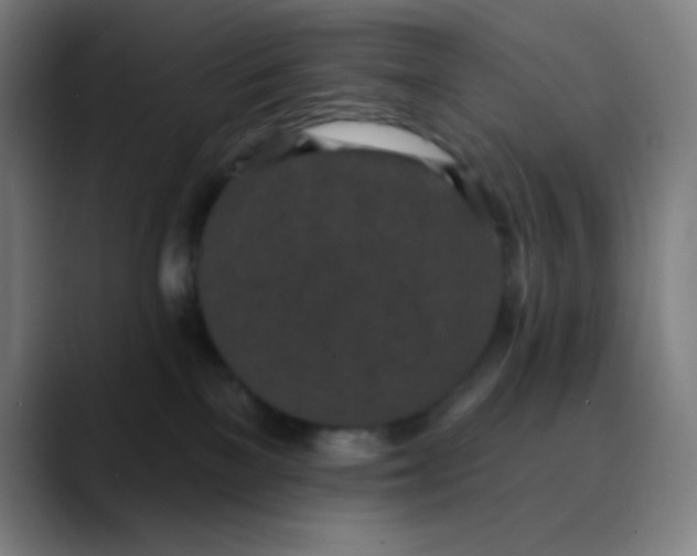 X0000089860137200707121743