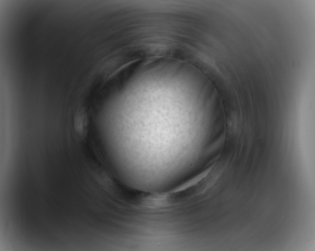 X0000089860138200707121743