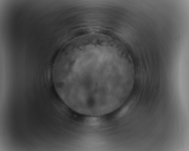 X0000089860139200707121743