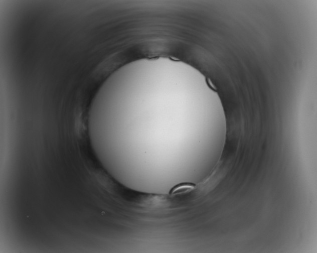 X0000089860140200707121743