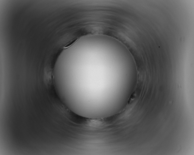 X0000089860141200707121743