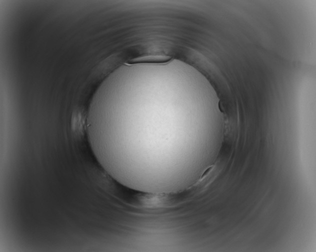 X0000089860142200707121743