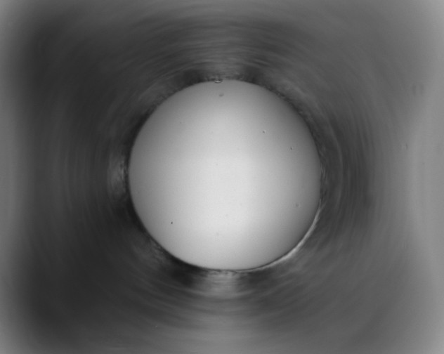 X0000089860144200707121743