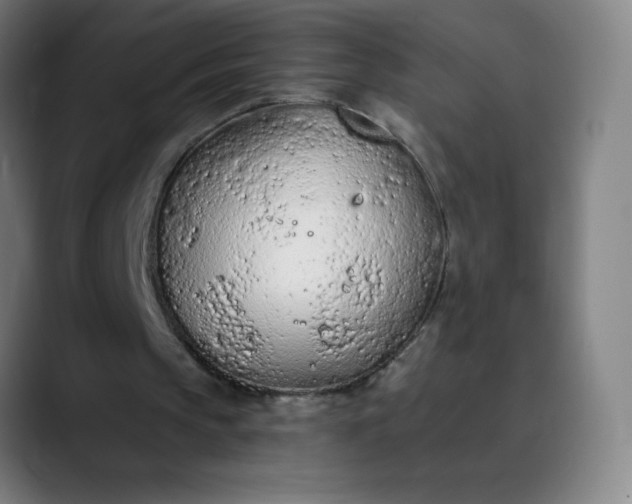 X0000089860145200707121742