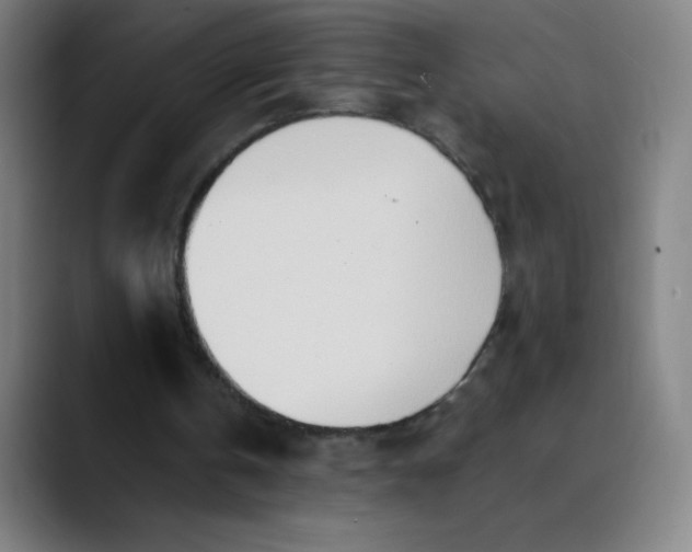 X0000089860146200707121742