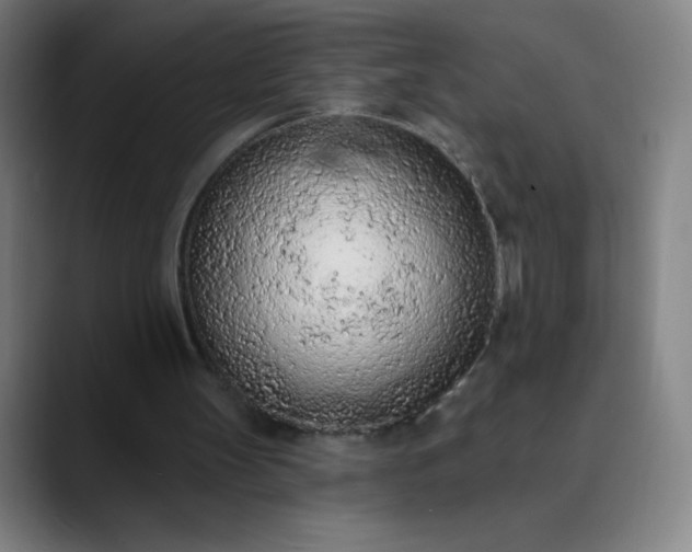 X0000089860147200707121742