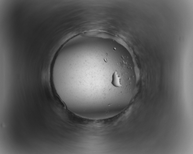 X0000089860148200707121742