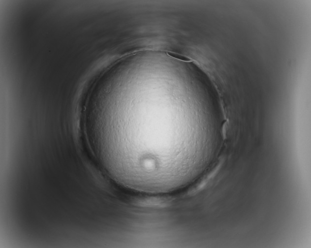 X0000089860149200707121742