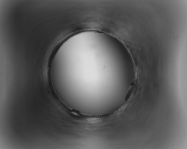 X0000089860150200707121742