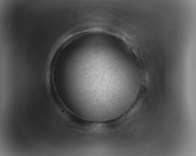 X0000089860152200707121742