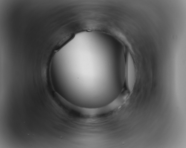 X0000089860154200707121742