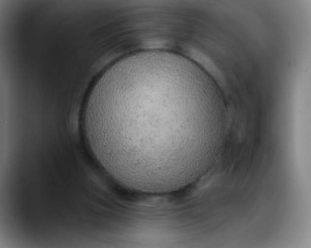 X0000089860155200707121742