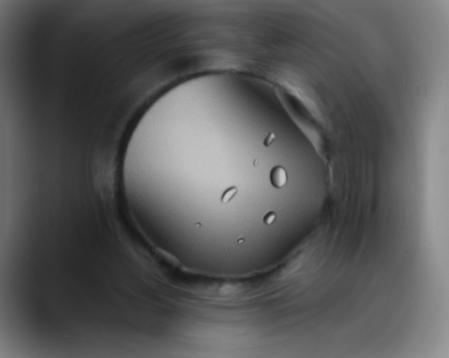 X0000089860156200707121742