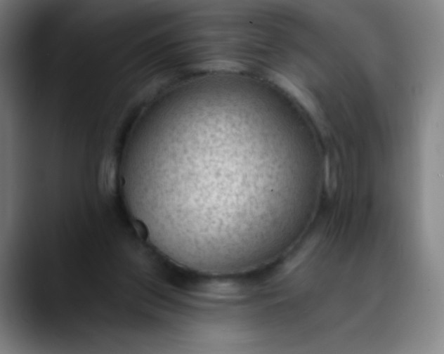 X0000089860157200707121742