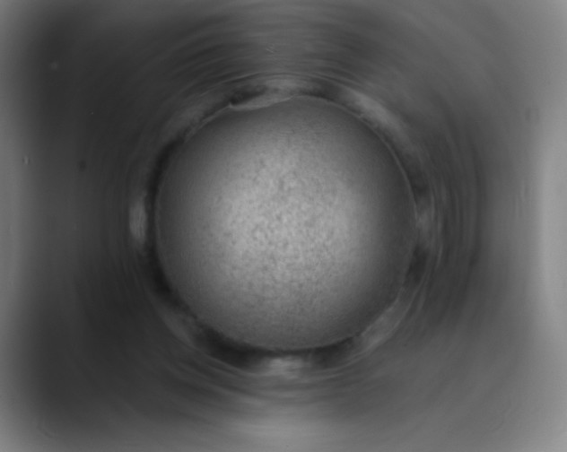 X0000089860158200707121742