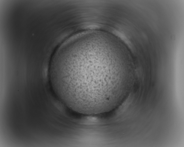 X0000089860159200707121742