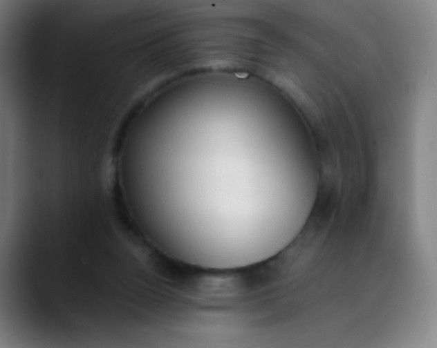 X0000089860160200707121742