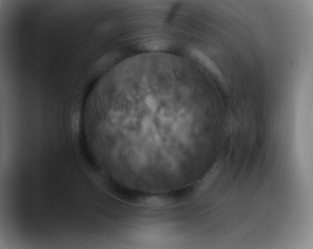 X0000089860163200707121742