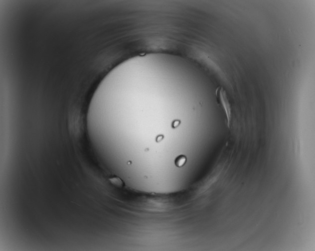 X0000089860164200707121742