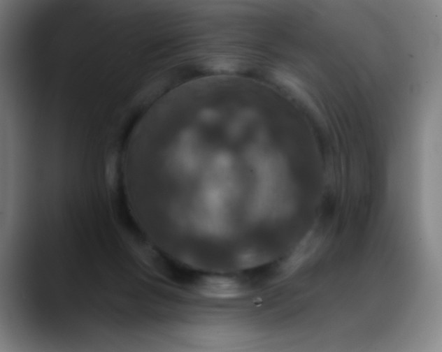 X0000089860167200707121743