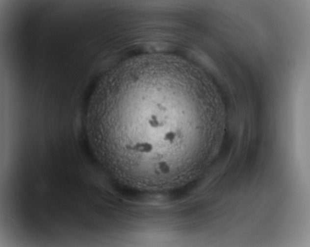 X0000089860169200707121743