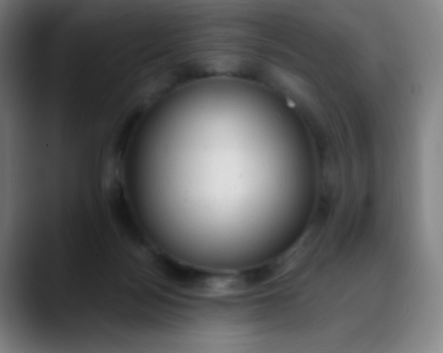 X0000089860172200707121743