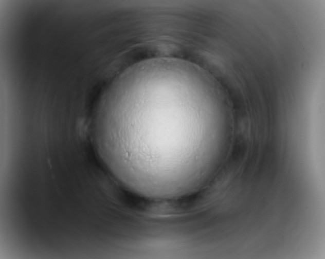 X0000089860177200707121743